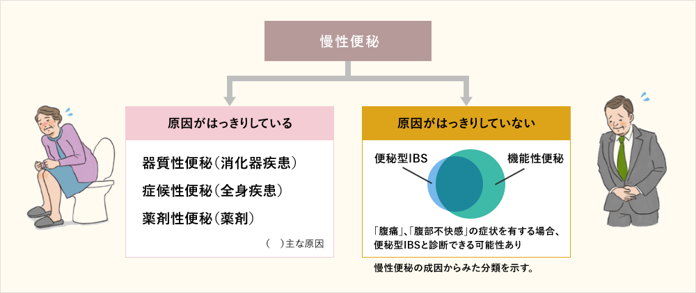 慢性便秘 原因がはっきりしている 器質性便秘( 消化器疾患) 症候性便秘(全身疾患) 薬剤性便秘(薬剤) 原因がはっきりしていない 便秘型IBS 機能性便秘 「腹痛」、「腹部不快感」の症状を有する場合、便秘型IBSと診断できる可能性あり 慢性便秘の成因からみた分類を示す。